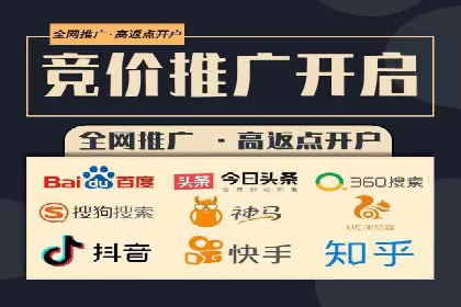 百度竞价赚钱秘诀：实战案例分析